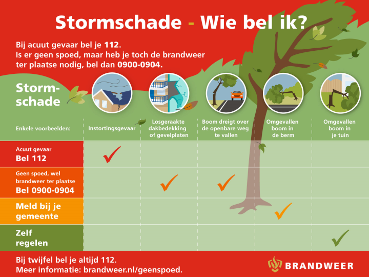 Wat te doen bij stormschade