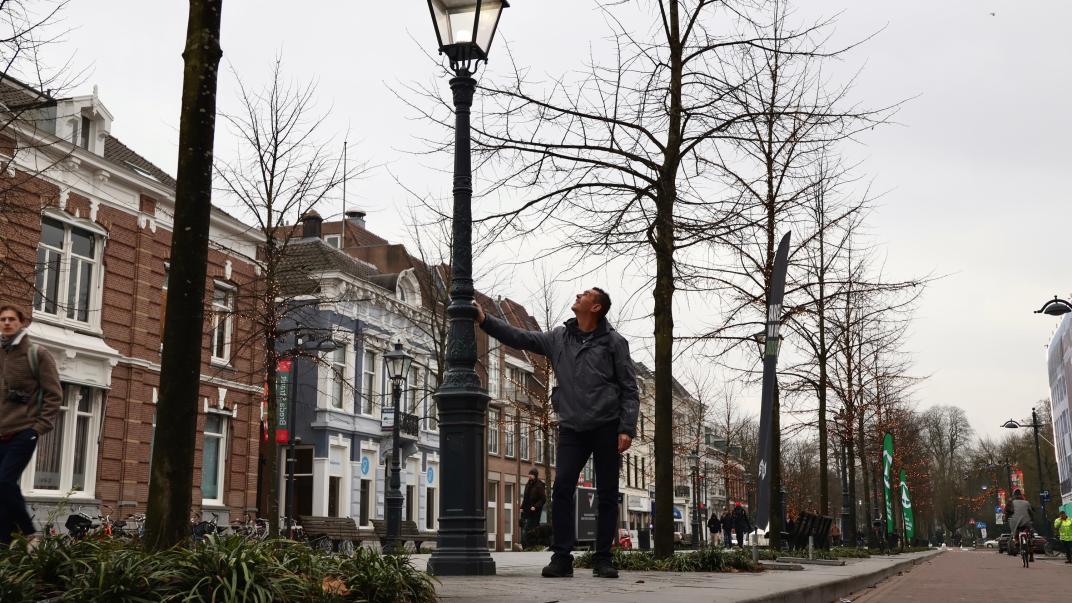 lantaarnpalen Willemstraat